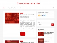 Evandroteixeira.net
