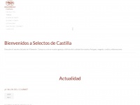 selectosdecastilla.com