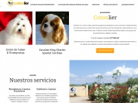 Cotonlier.com