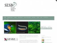 sesbe.org