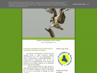 Ornitologiadegrancanaria.blogspot.com