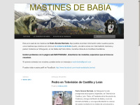 Mastinbabia.com