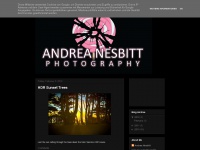 Andreanesbitt.blogspot.com