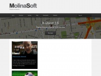 molinasoft.com