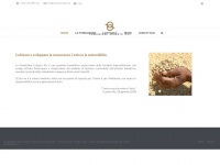 Fondazionernestoilly.org