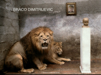 Bracodimitrijevic.com