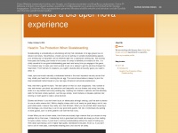 Thewasabisupernovaexperience.blogspot.com