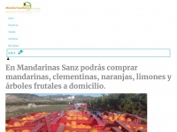 mandarinassanz.com