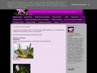 universo-orquideas.blogspot.com