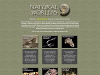 naturalworlds.org Thumbnail