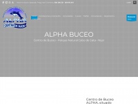 alphabuceo.com Thumbnail