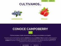 Campoberry.com