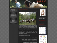 abac-burgos.es Thumbnail