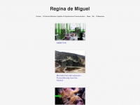 Reginademiguel.net