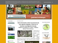 territorionatural.blogspot.com