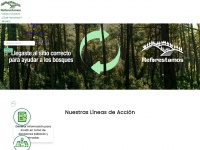 reforestamosmexico.org