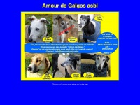 Amourdegalgos.be