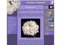 Biznagas.com