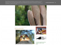 birdringal-andalus.blogspot.com Thumbnail