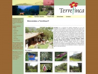 Terrefinca.com