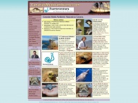 Canariasmedioambiente.com