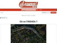 yanous.com