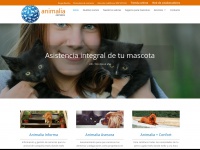 animalia-asistencia.com