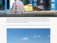 Nabeul.com