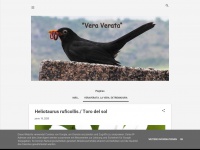 Veraverata.blogspot.com