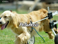 petwheels.com.ar Thumbnail