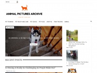 Animalpicturesarchive.com