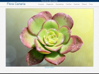 floracanaria.com Thumbnail