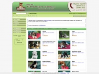 vendita-cuccioli-caniegatti.com
