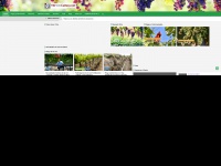 vitivinicultura.net Thumbnail