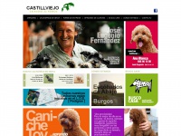 castillviejo.com