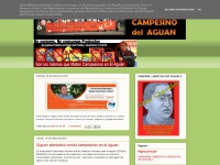 movimientocampesinodelaguan.blogspot.com