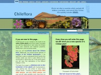 Chileflora.com