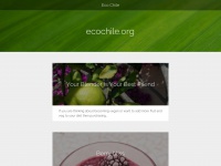 ecochile.org Thumbnail
