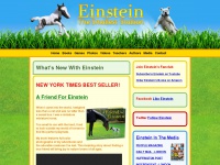Einsteinminihorse.com
