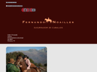 Fernandonoailles.com