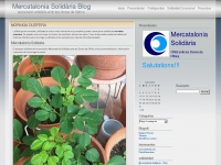 Mercataloniasolidaria.wordpress.com