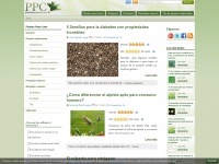 plantasparacurar.com Thumbnail