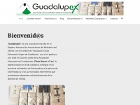Guadalupex.org