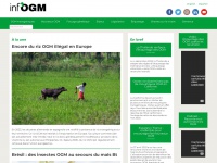 Infogm.org