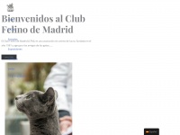 clubfelinodemadrid.es
