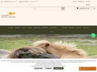 caballosminiatura.com
