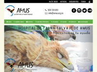 amus.org.es Thumbnail