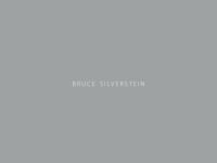 Brucesilverstein.com