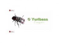 yuribass.com Thumbnail