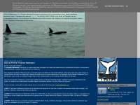 whalewatchtarifa.blogspot.com Thumbnail